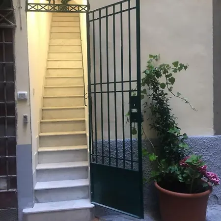 Lägenhet Geco's